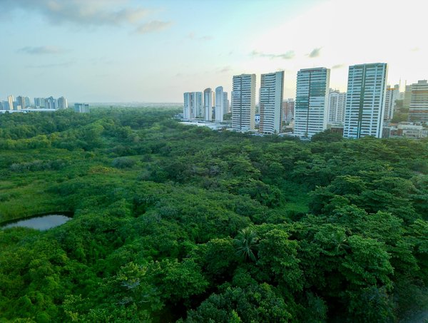 L'Évolution Éblouissante des Graphismes dans les Jeux Vidéo : Un Voyage à Travers les Étapes Visuelles